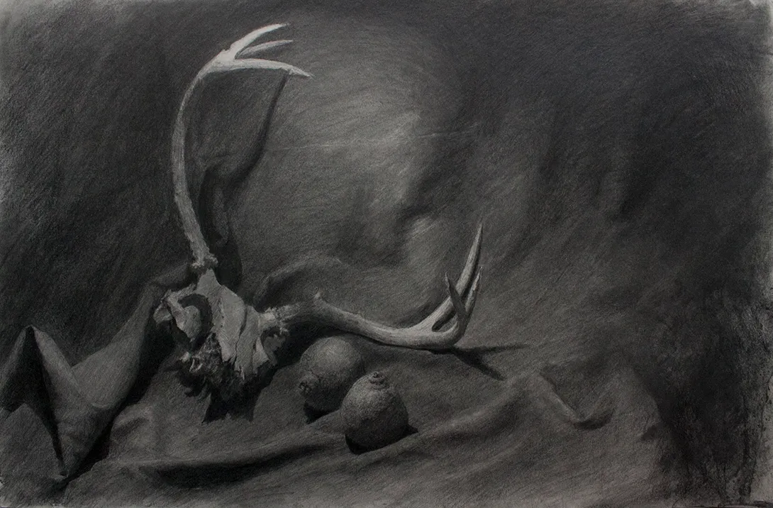 Deer skull still-life drawing in graphite and charcoal