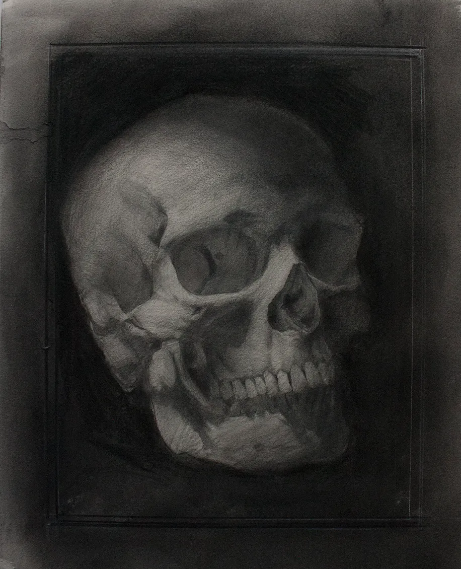 Skull drawing in graphite and charcoal